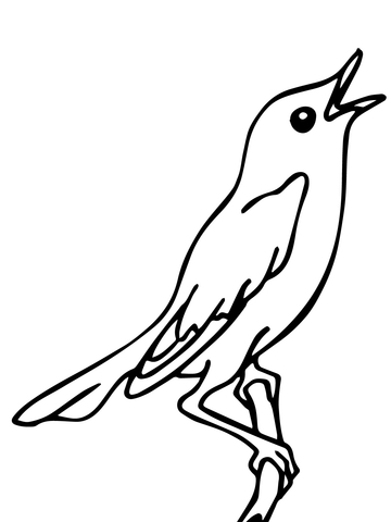 Singing Nightingale Coloring Page